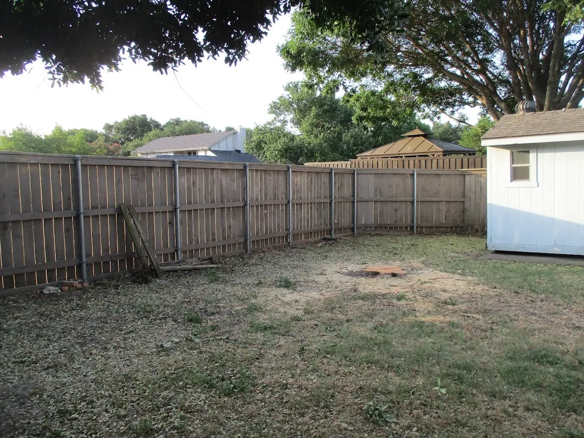 Cleared yard after professional tree removal in Dodd City